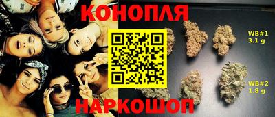 apvp Ковров