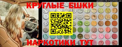 гидропоника Коломна
