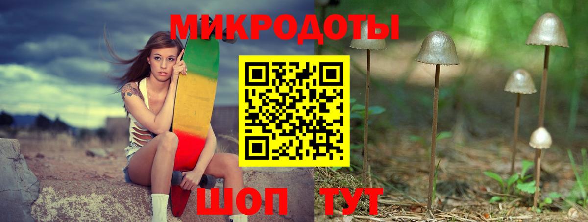 Галлюциногенные грибы прущие грибы  Вход с VPN  Алатырь 